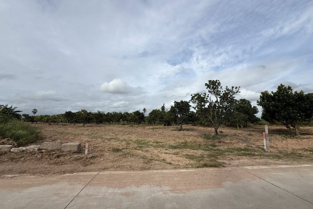 520102938_24154037044232936_7983622663564494829_n