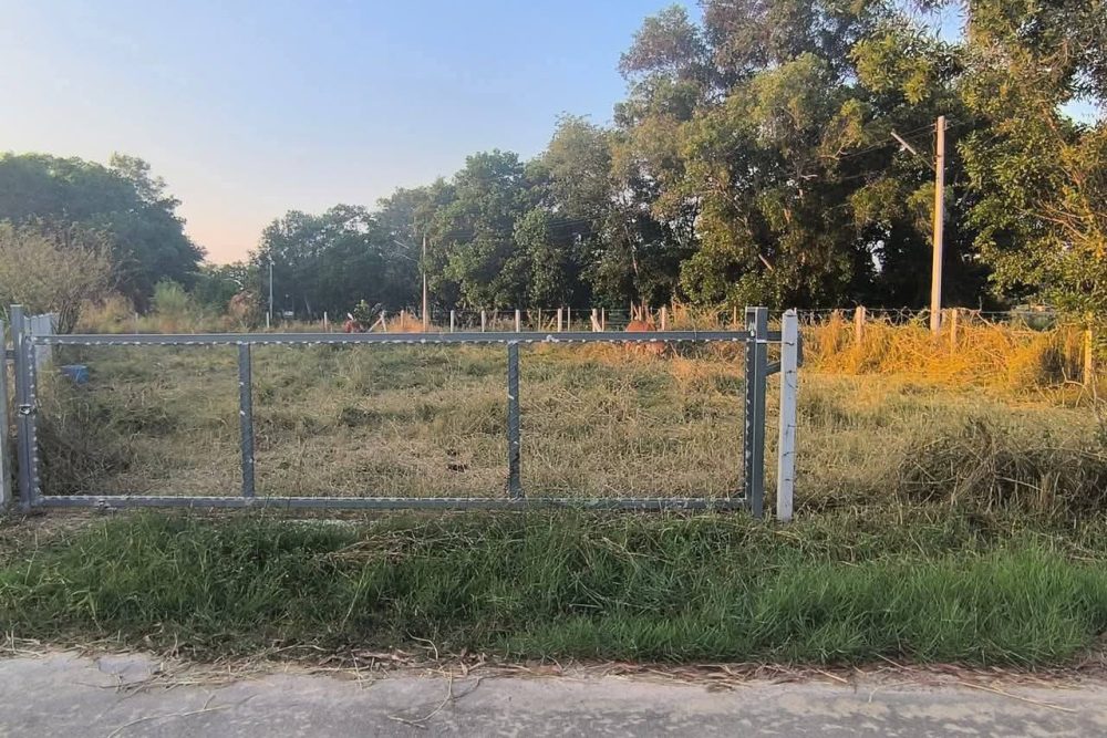 520168083_1266356658369304_3270980573529986433_n