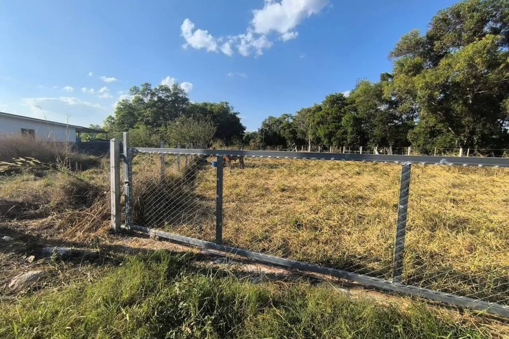 522970239_1266356755035961_1888831130520707603_n