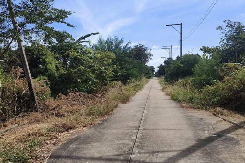 523169275_2585813445084687_8083885565761970482_n