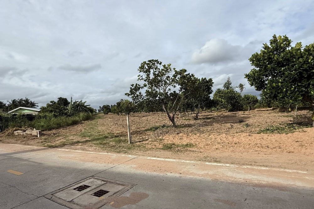 523885315_24154036577566316_2367488298830390581_n