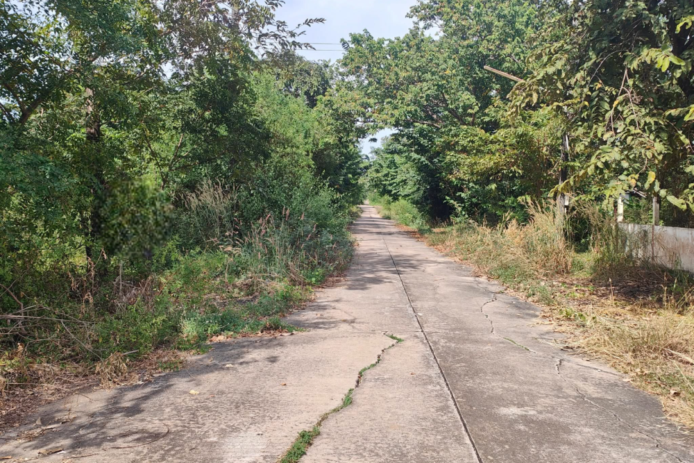 523918080_2585813378418027_5935898017499809676_n-Photoroom