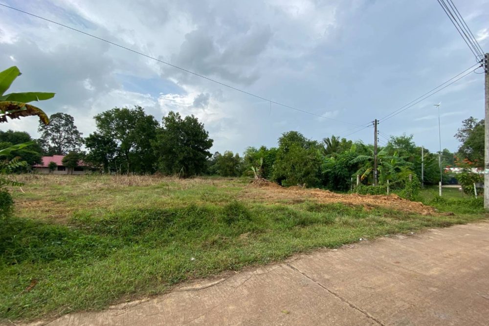 526666813_24676143215312269_2393885289637697422_n