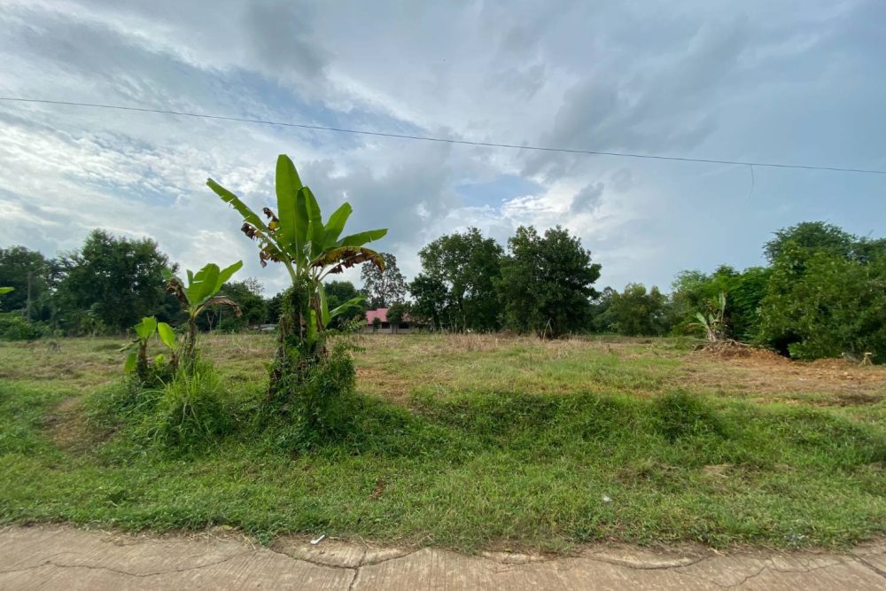 526790029_24676143945312196_6599094114913745881_n