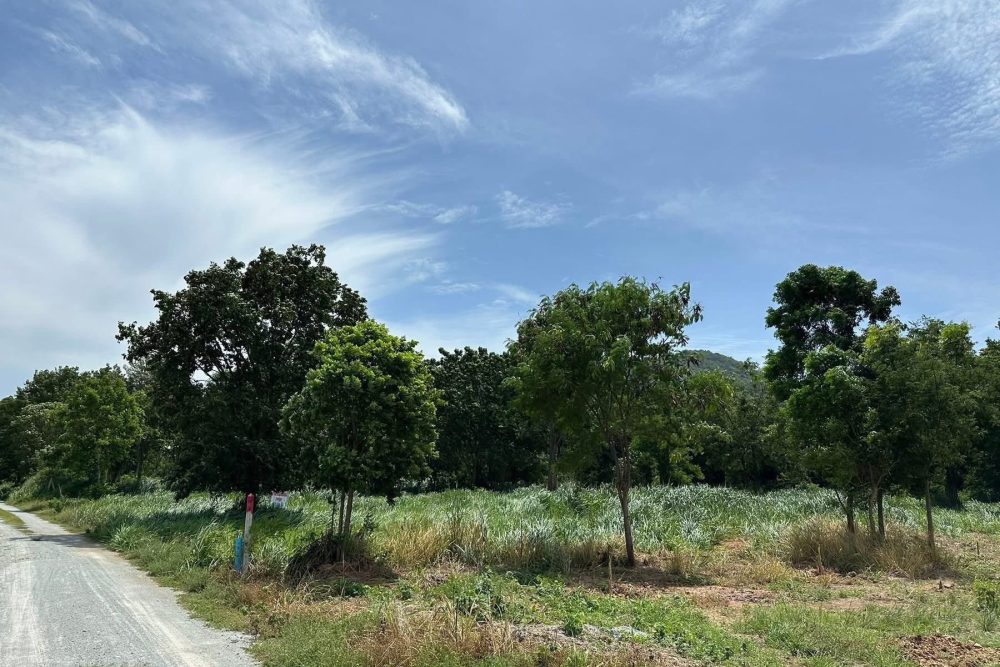 527676806_2144702772695691_6186212657211304198_n (1)