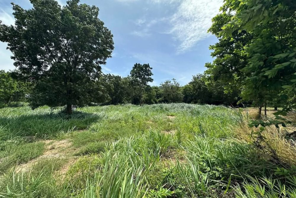 527959164_2144702722695696_2169587813548223771_n