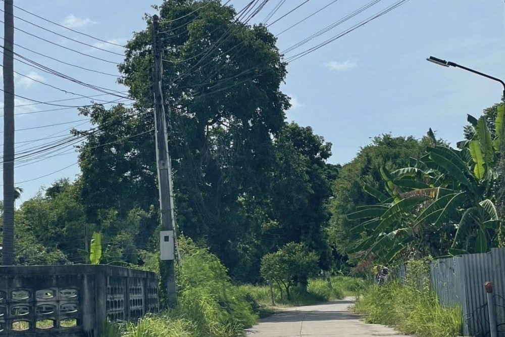 528047481_24240668408896418_2053340022861056415_n