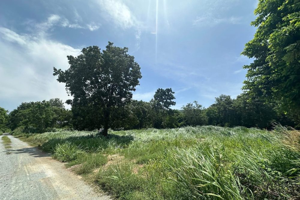 528122601_2144702736029028_7709251020228322289_n