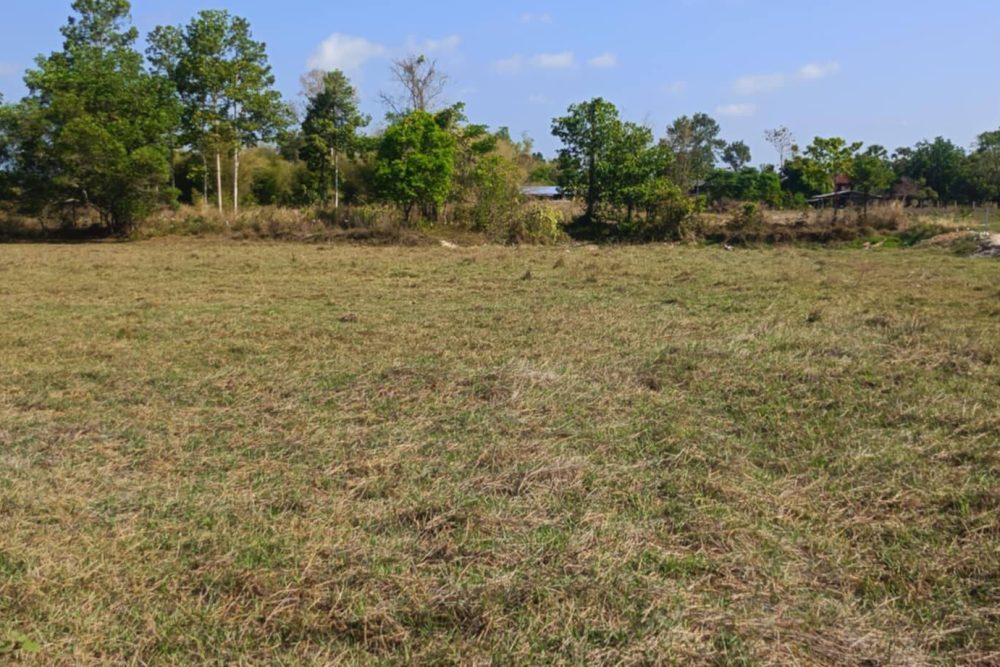 530395866_122248019948085152_3242389040225349844_n