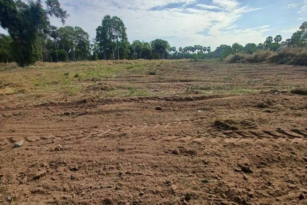 530410036_122248019900085152_4574983530771032083_n