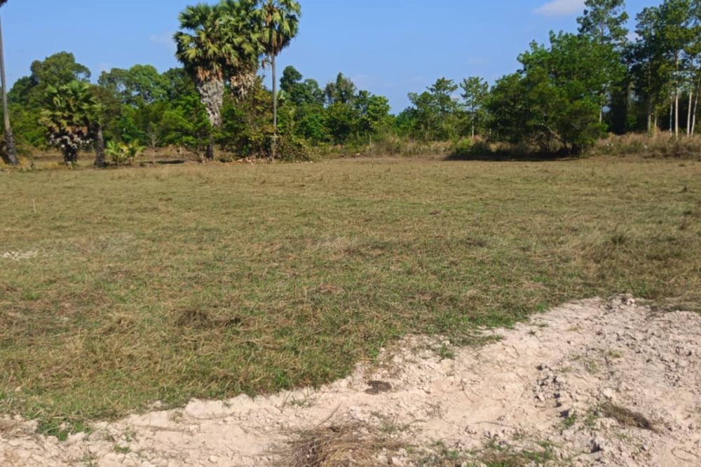 530537033_122248020008085152_6145085863236016879_n