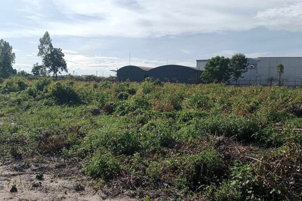 530872536_1407675230526029_3297313715372987214_n