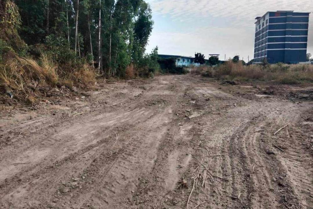 530887692_1407675140526038_8322541217072131001_n