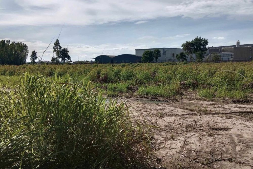 531164819_1407675153859370_6985613347872713198_n