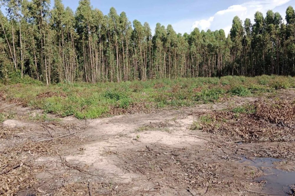 531191341_1407675237192695_5436886411428433471_n