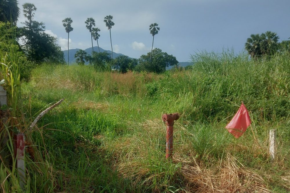 532343646_2262937810809114_7032142251666752907_n