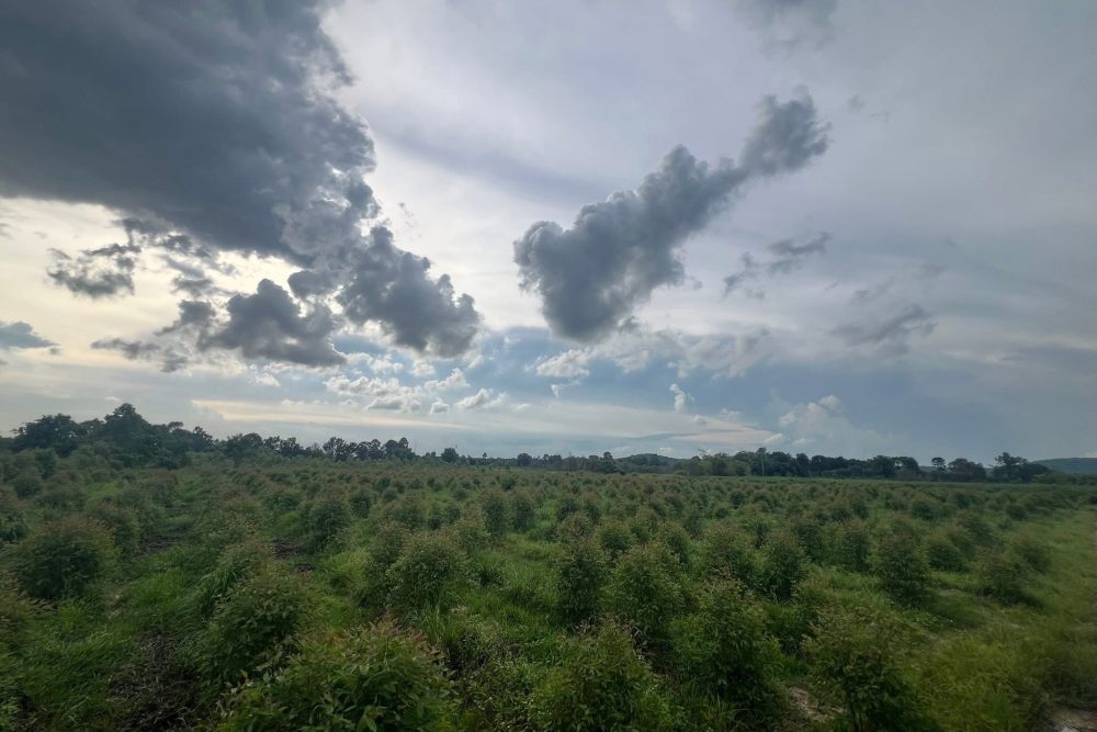 533495549_4252876738303288_2095029497406649582_n