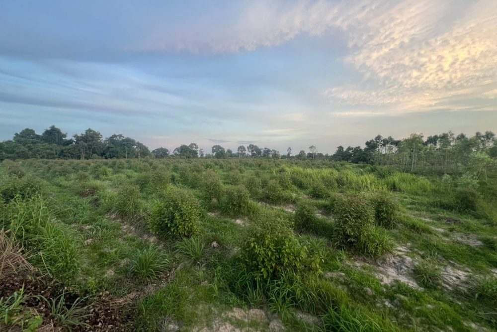 534268955_4252876771636618_2951484307957628562_n