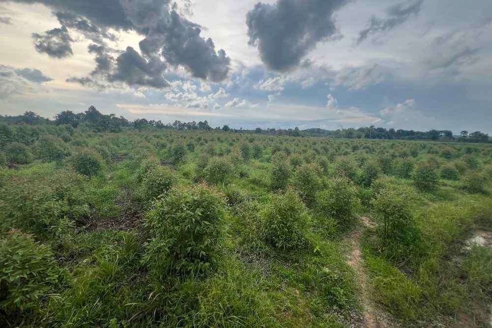 534668745_4252876764969952_7986531152792083753_n