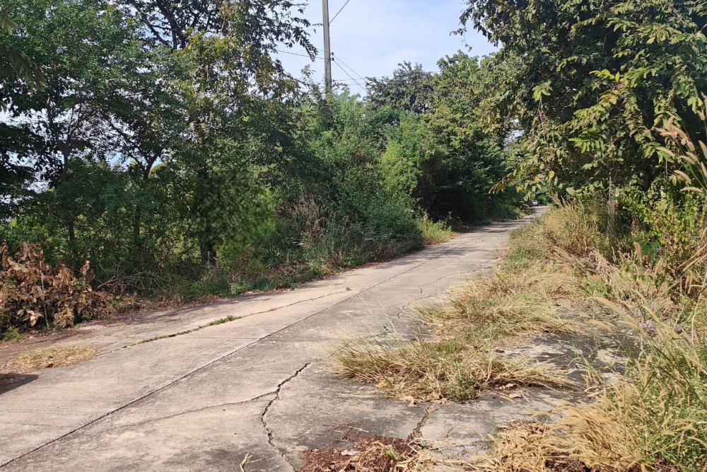 534801109_2607261729606525_7481337672249577971_n-Photoroom