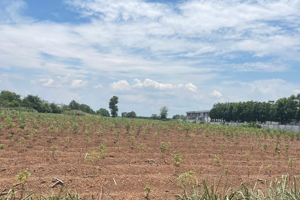 534894335_9689093467859993_2181265887933980847_n