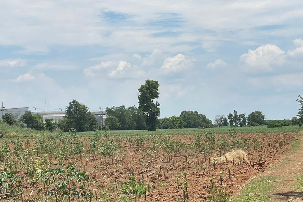 535396229_9689093627859977_2189488146141531913_n