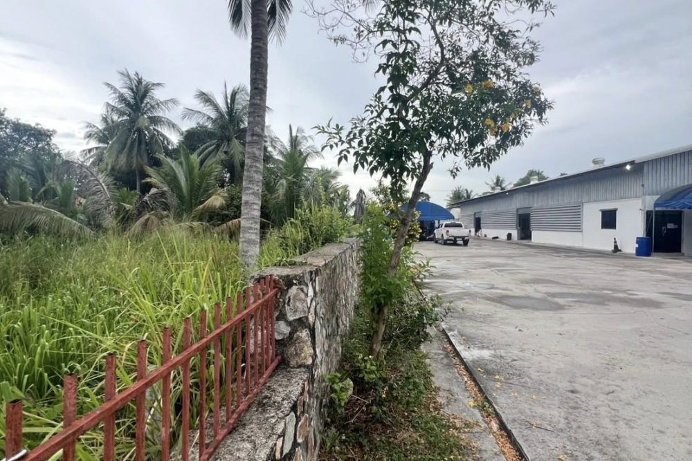 536275319_1473476557186543_8870082229507627843_n