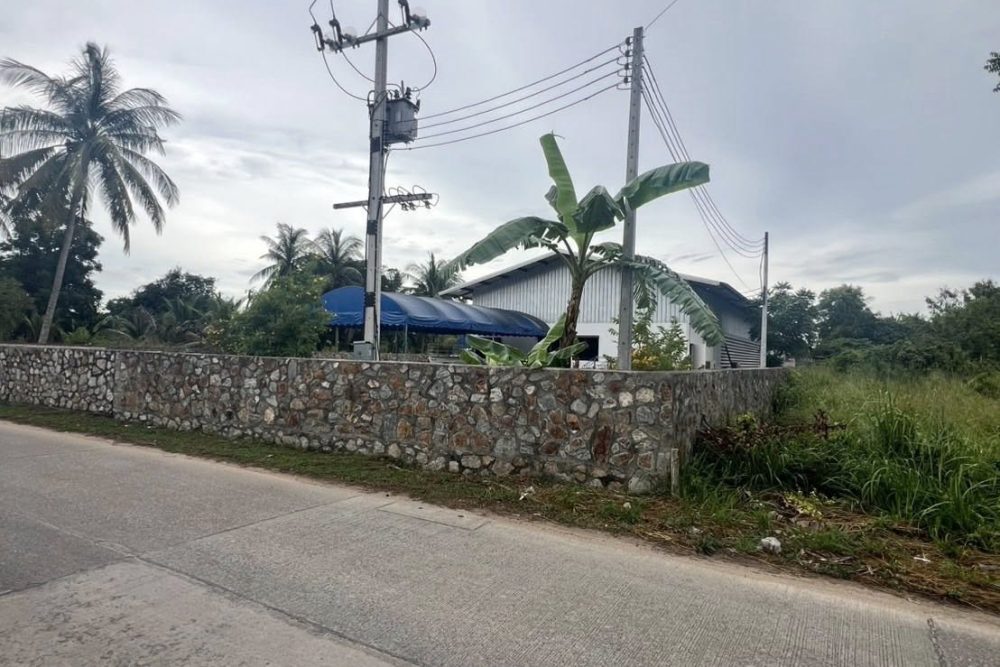 536278254_1473476563853209_2089911967801856419_n