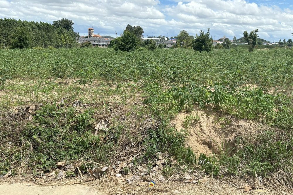 537330830_4200429583511698_2074669799748087443_n