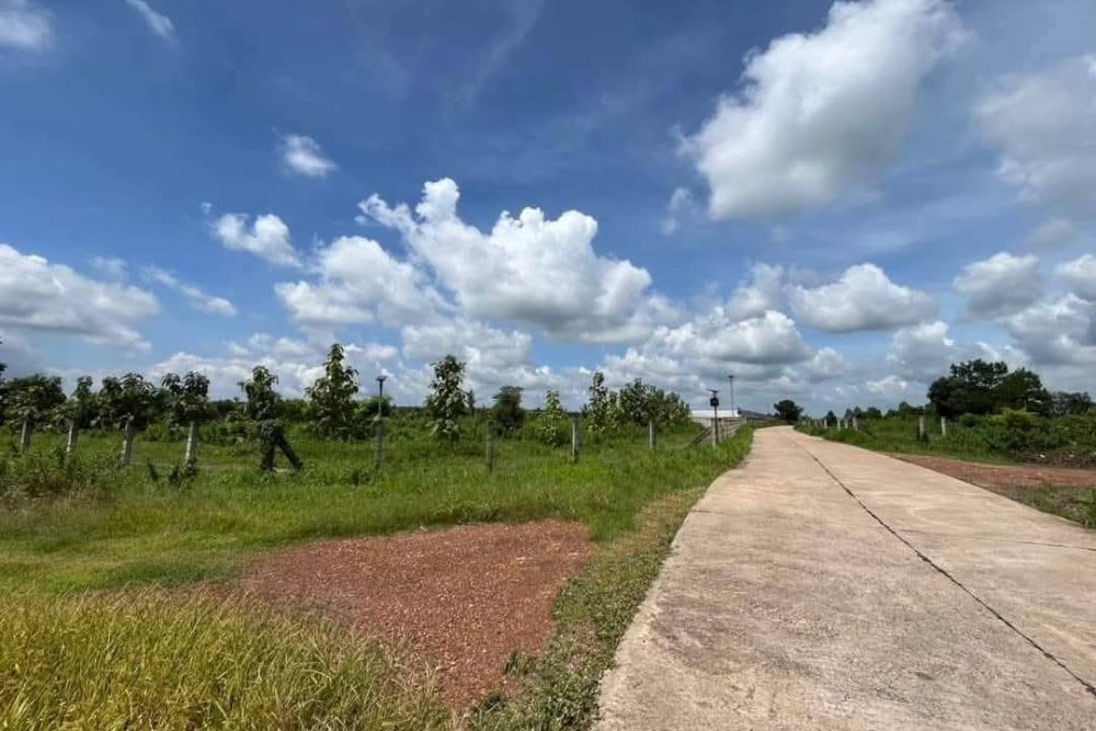 539491137_808993188373363_5902501073608802452_n