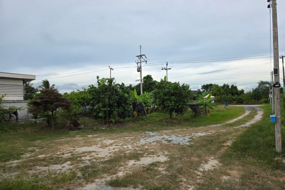 539610986_2944105252438403_5955447068310975554_n