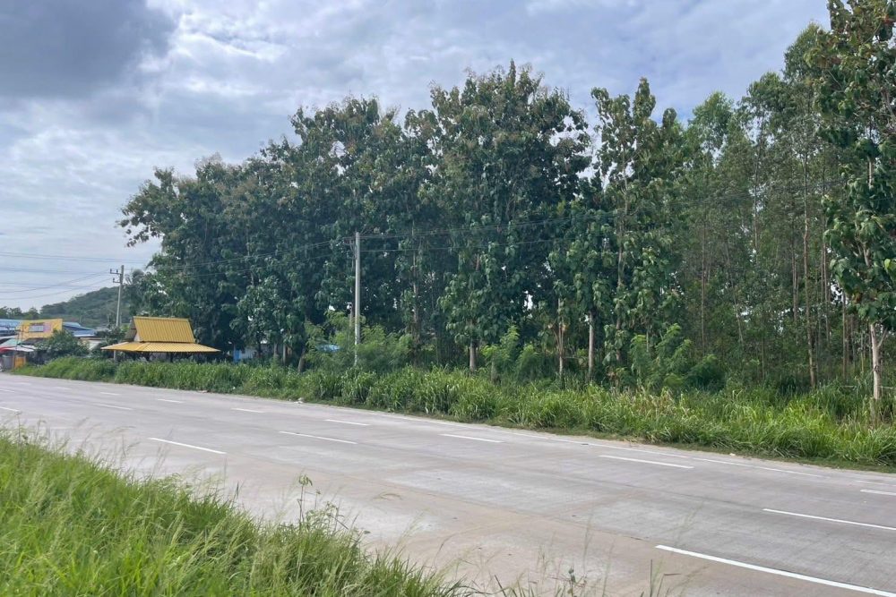 540781764_10230761065317730_2329769826080498807_n