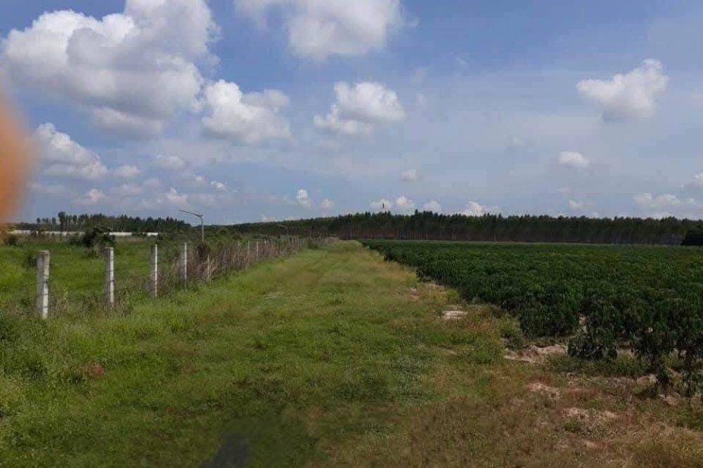 540988571_808993225040026_3912623961258355843_n