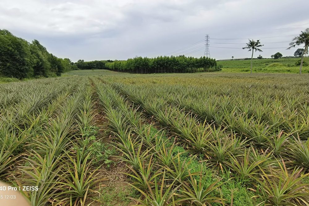 541454110_3580657298909696_5750117810332561778_n