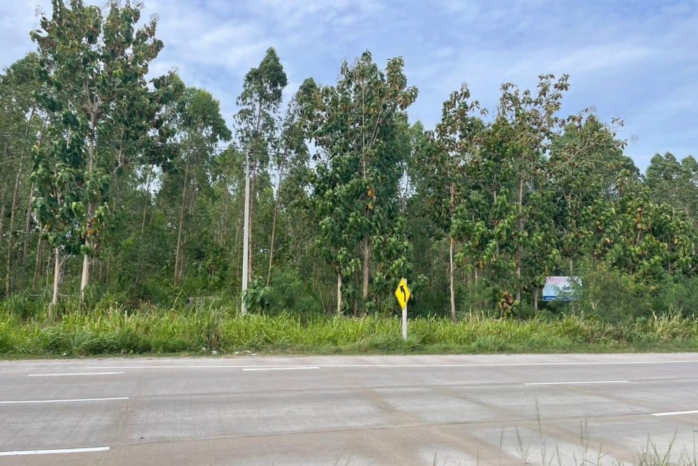 542165610_10230761064717715_1242444251417651009_n