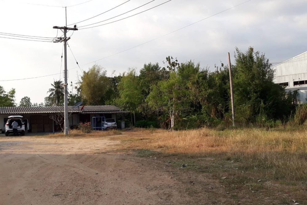 542728455_24397461973254119_8990110324641342144_n