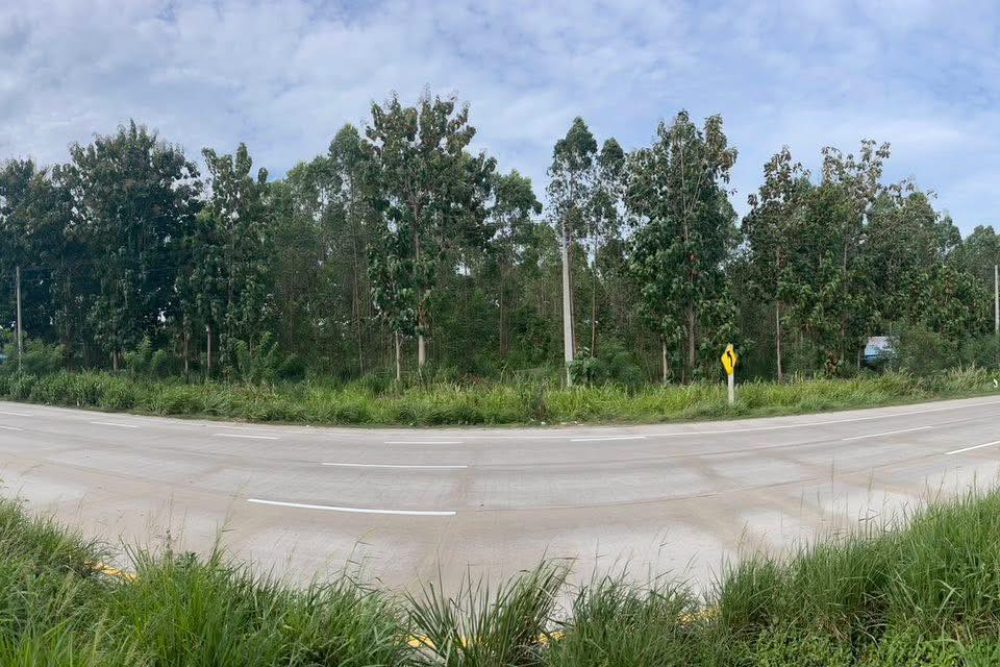 542760790_10230761063877694_9084335047128398861_n