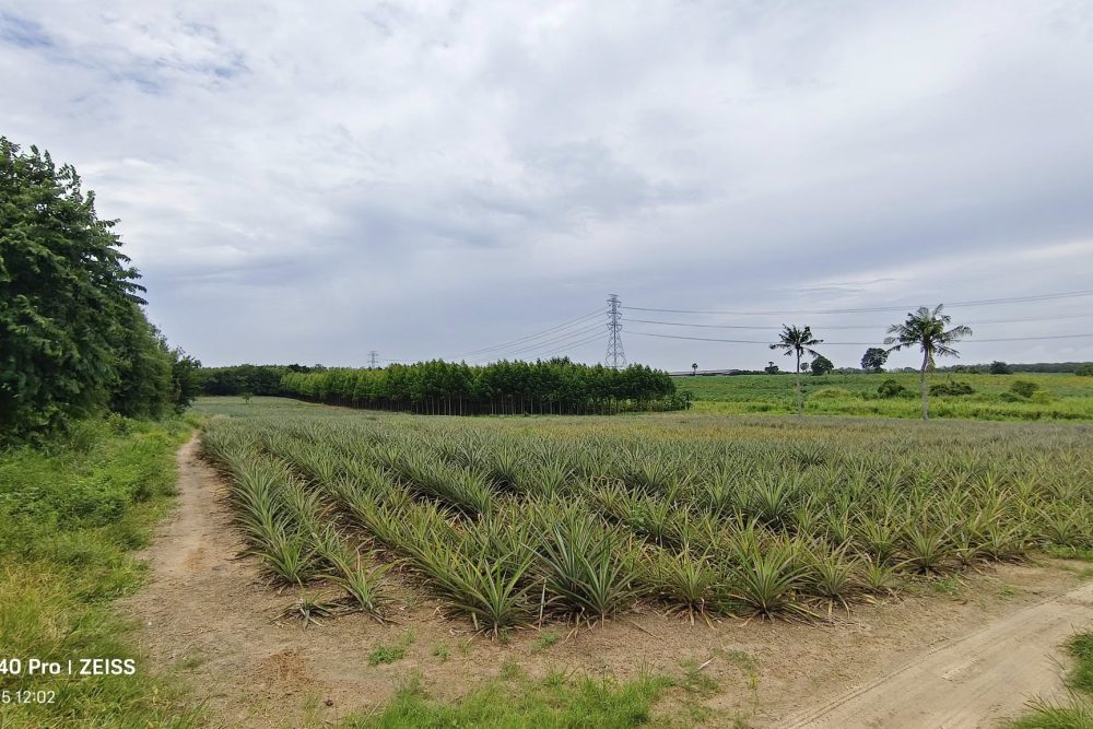 543036696_3580657355576357_324227846419582812_n