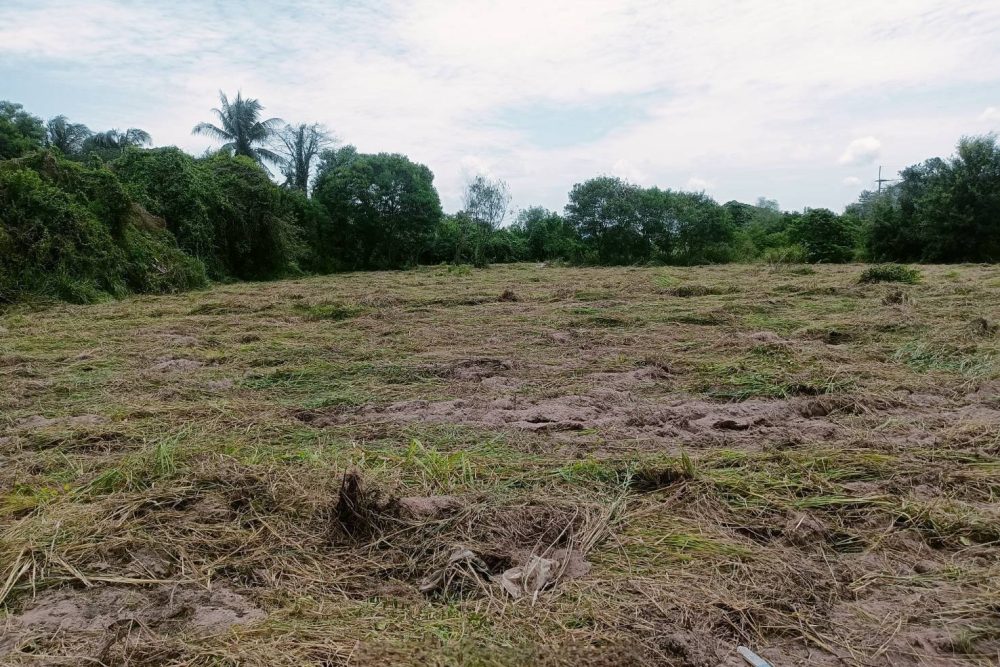 544513537_24397462229920760_5700855107398723764_n