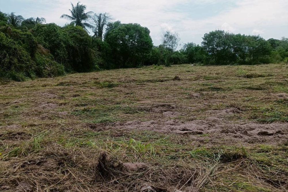 544642220_24397462783254038_620172809023134880_n