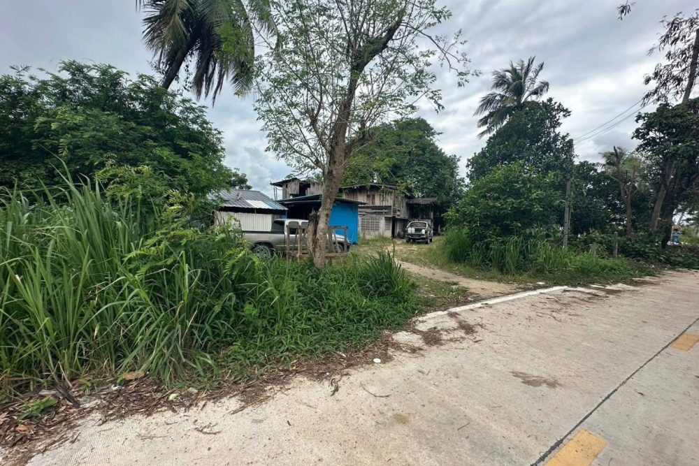 545249348_1877180159874397_5513272329456238427_n