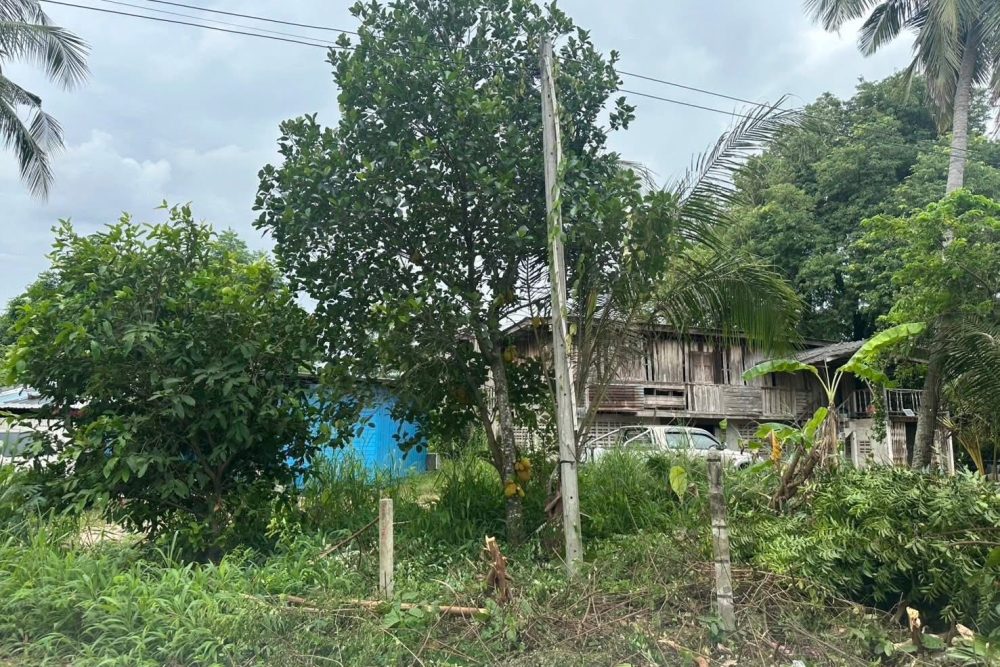 545355143_1877180113207735_1637092026921633638_n