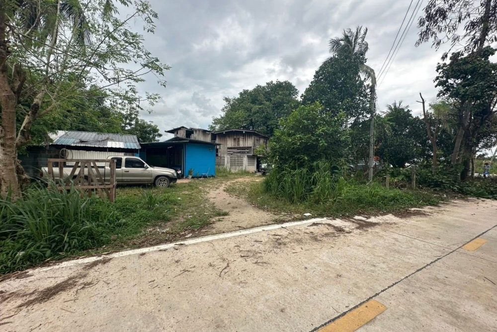 545664868_1877180143207732_5815242439165966799_n