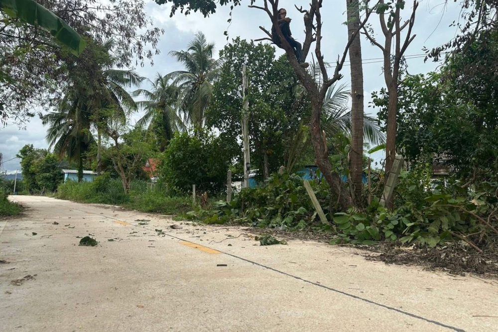 545932097_1877180153207731_378674431817018691_n