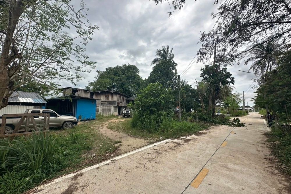 546068235_1877180136541066_3727325441539546437_n