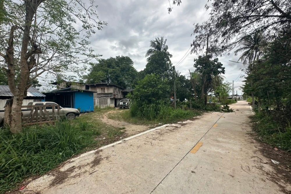 546283186_1877180096541070_3766695267064325341_n