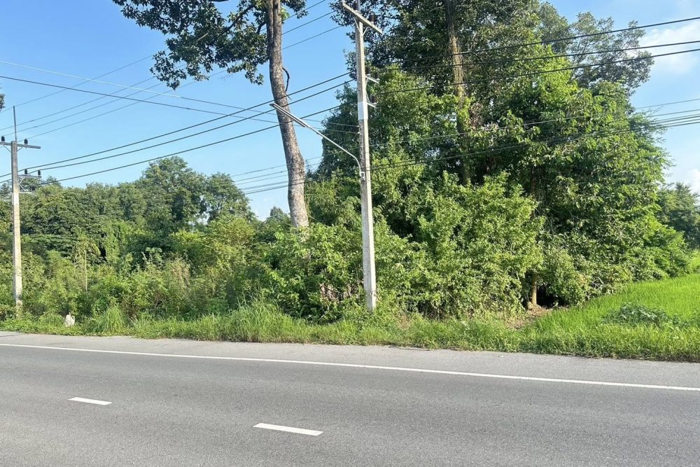 547232004_3294147170724824_93015329374516444_n