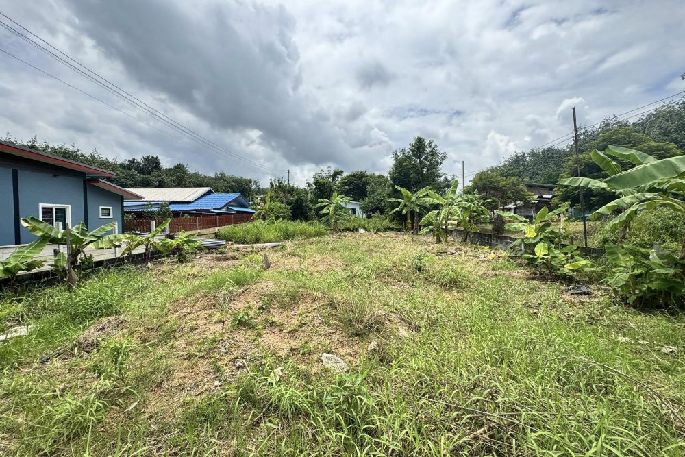 547323903_1168331335345933_6010255998288777591_n