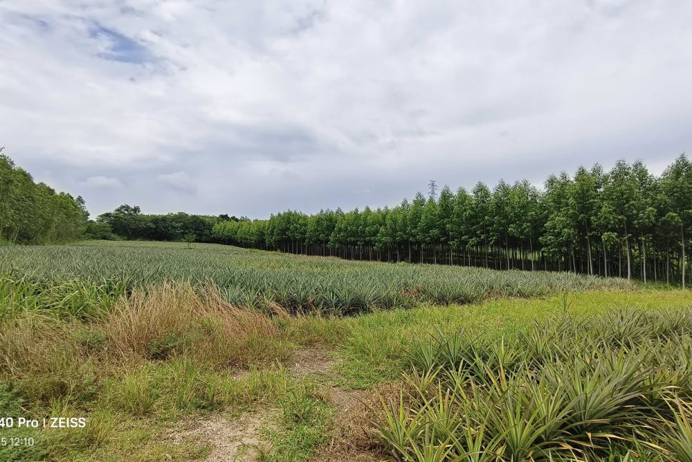 548292840_3591815527793873_8791225911304910086_n