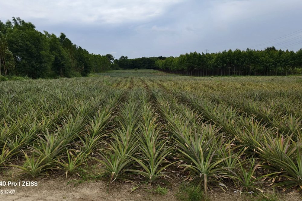 548513020_3591815494460543_657889938721369147_n